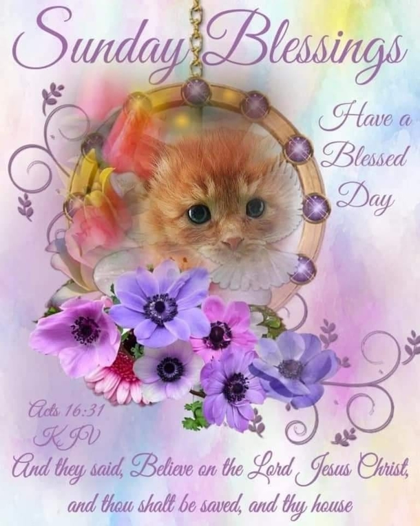 10 Sunday Blessings In 2023 For A Beautiful Day - picture 5