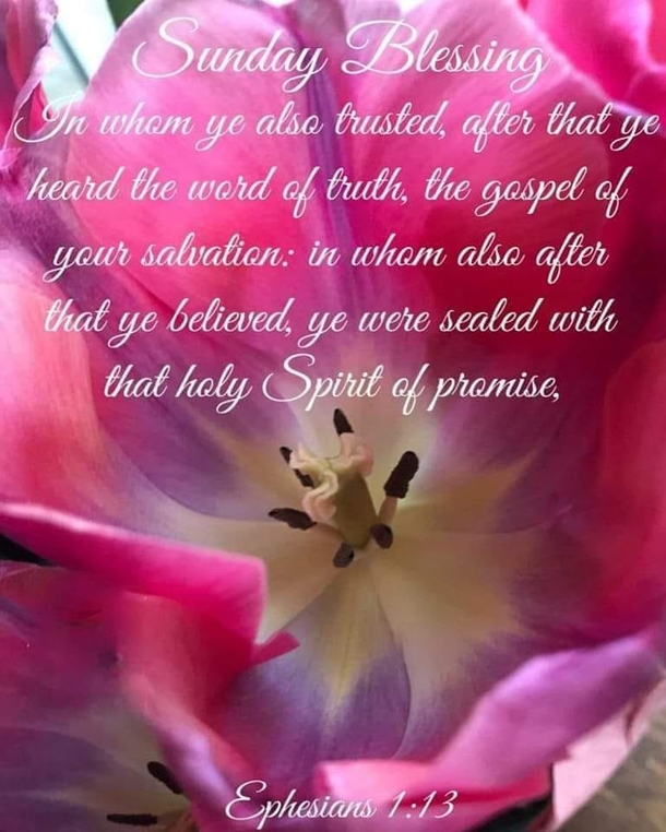 10 Sunday Blessings In 2023 For A Beautiful Day - picture 7