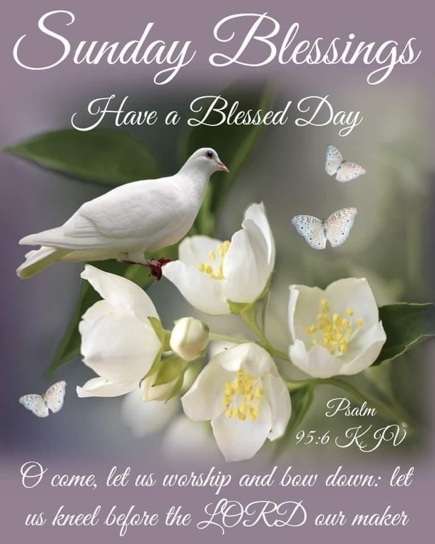 10 Sunday Blessings In 2023 For A Beautiful Day - picture 8