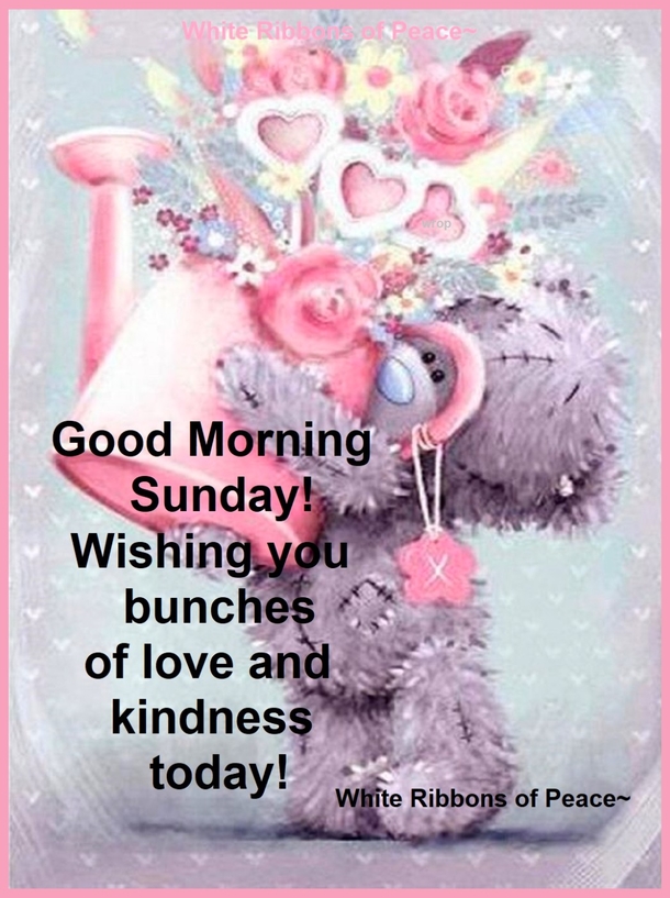 10 Sunday Blessings Make Your Day Shine Bright - picture 10