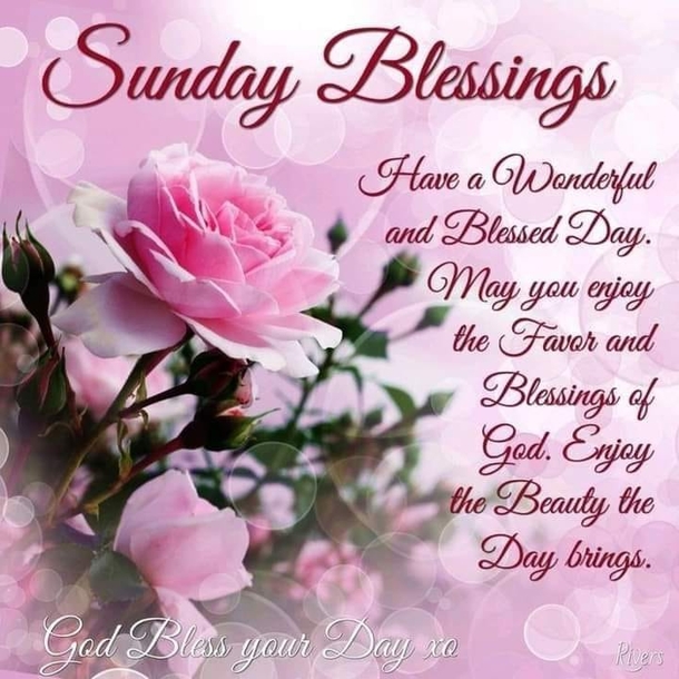 10 Sunday Blessings Make Your Day Shine Bright - picture 11