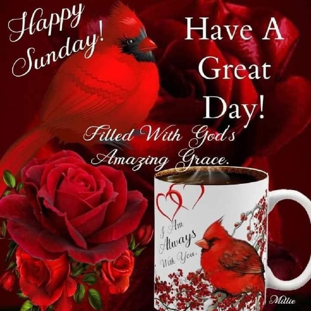 10 Sunday Blessings Make Your Day Shine Bright - picture 12
