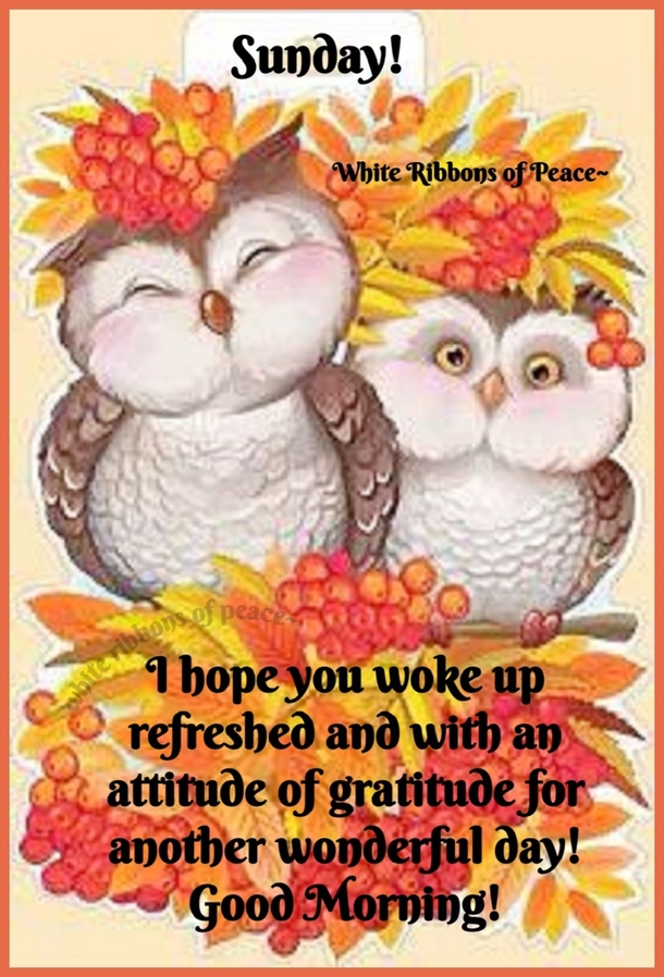 10 Sunday Blessings Make Your Day Shine Bright - picture 2