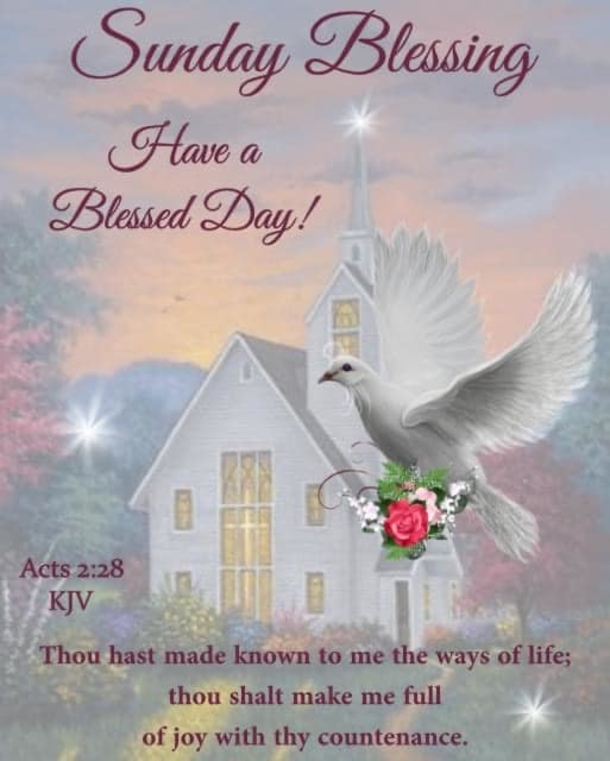 10 Sunday Blessings Make Your Day Shine Bright - picture 6
