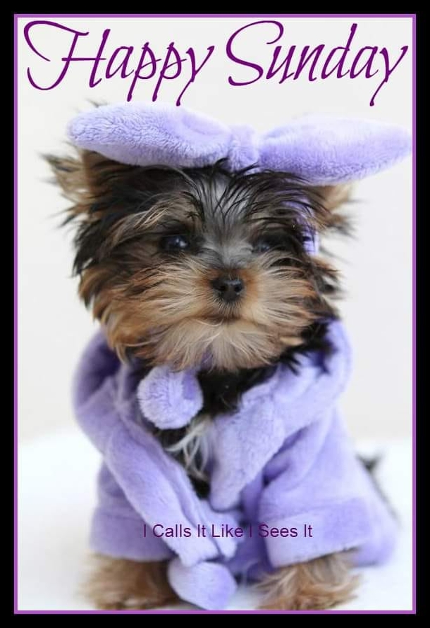 10 Sunday Blessings To Give Your Day The Inspiration It Needs - picture 4