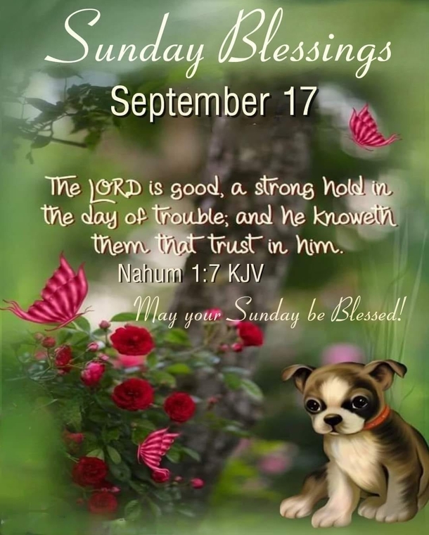 10 Sunday Blessings To Give Your Day The Inspiration It Needs - picture 8