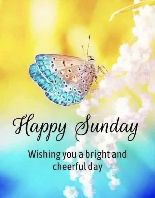 10 Sunday Blessings To Have The Most Positive And Cheerful Day! - picture 5