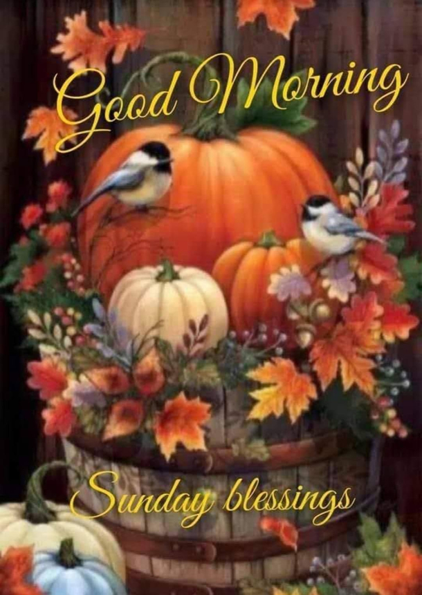 10 Sunday Blessings To Have The Most Positive And Cheerful Day! - picture 9