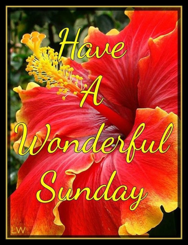 10 Sunday Blessings To Start The Day With Positivity - picture 2
