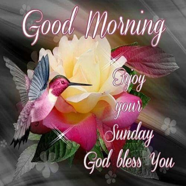 10 Sunday Good Morning Picture Quotes For The Day - picture 11