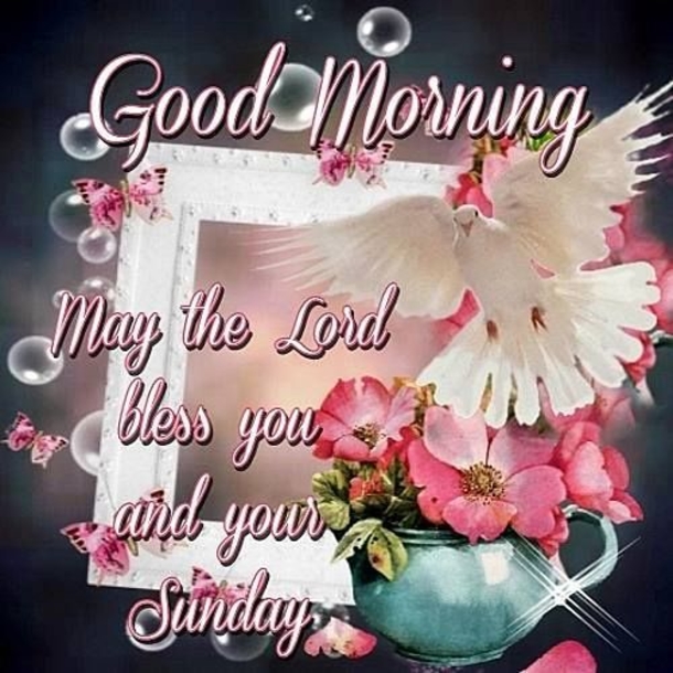 10 Sunday Good Morning Picture Quotes For The Day - picture 2