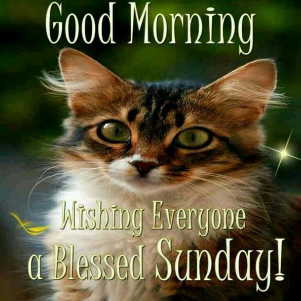 10 Sunday Good Morning Picture Quotes For The Day - picture 4