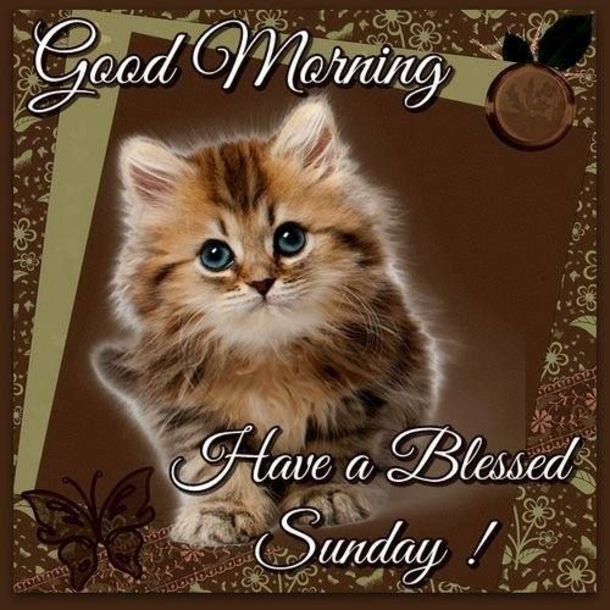 10 Sunday Good Morning Picture Quotes For The Day - picture 5