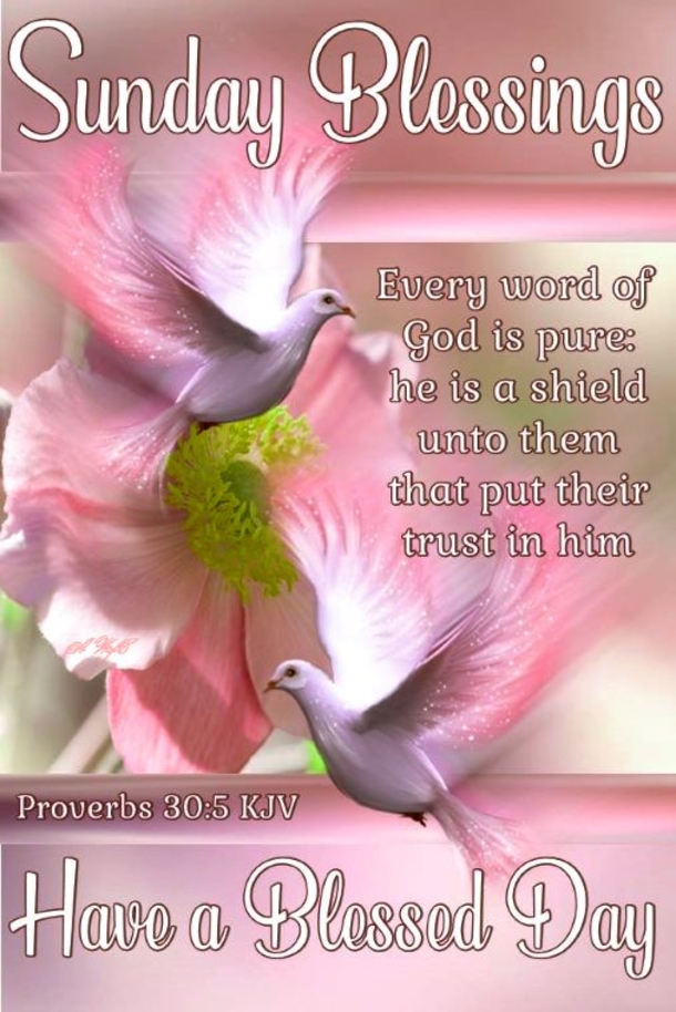 10 Sunday Morning Blessing Quotes - picture 5