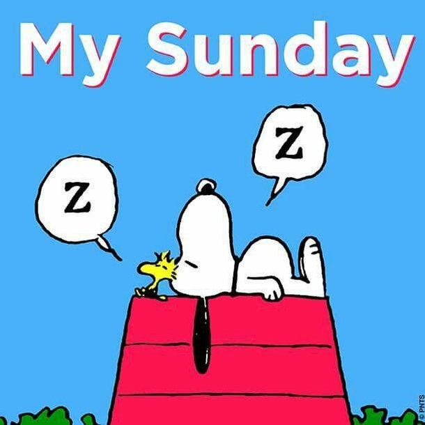 10 Sunday Quotes For A Very Peaceful And Positive Day - picture 11