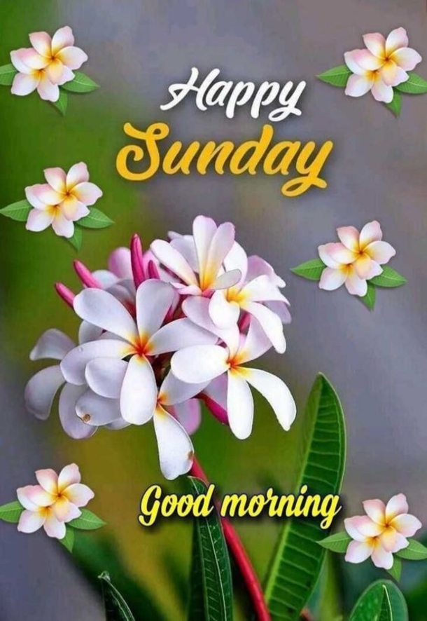 10 Sunday Quotes For A Very Peaceful And Positive Day - picture 2