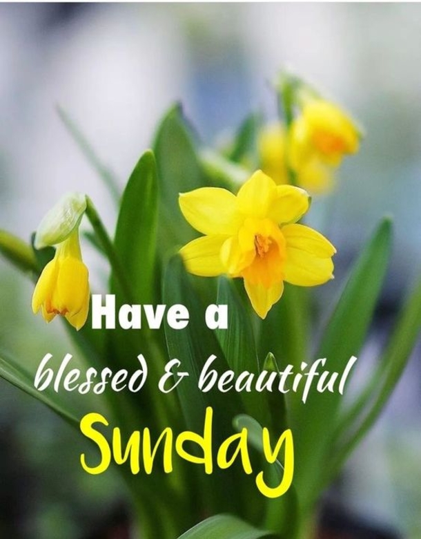 10 Sunday Quotes For A Very Peaceful And Positive Day - picture 3