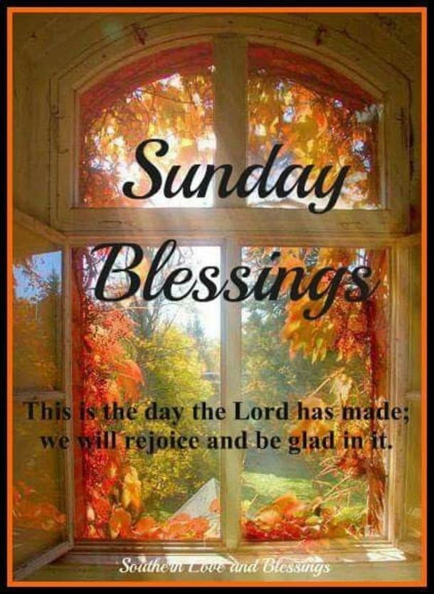 10 Sunday Quotes For A Very Peaceful And Positive Day - picture 5