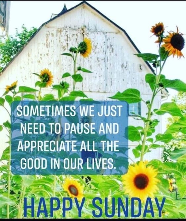 10 Sunday Quotes For A Very Peaceful And Positive Day - picture 6