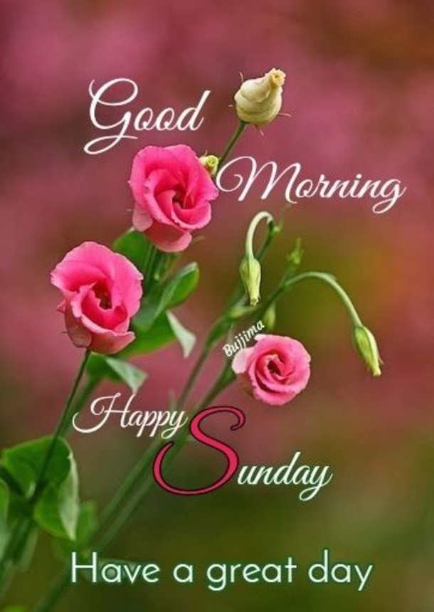 10 Sunday Quotes For A Very Peaceful And Positive Day - picture 7