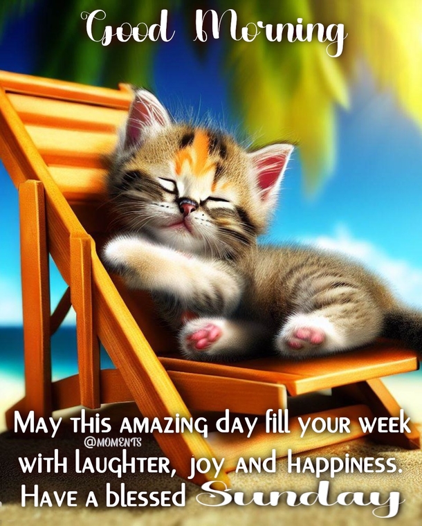 10 Sunday Quotes That Will Fill Your Amazing Day With Happiness - picture 2