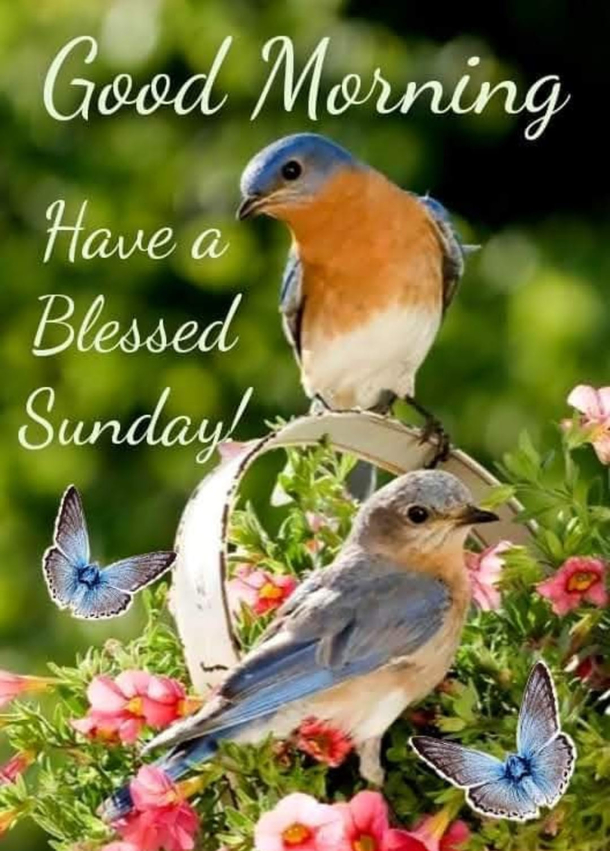 10 Sunday Quotes That Will Fill Your Amazing Day With Happiness - picture 6