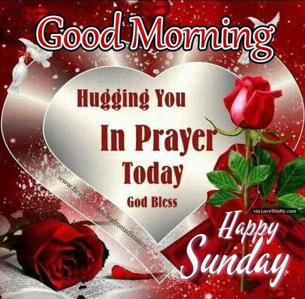 10 Sunday Quotes That Will Fill Your Amazing Day With Happiness - picture 7