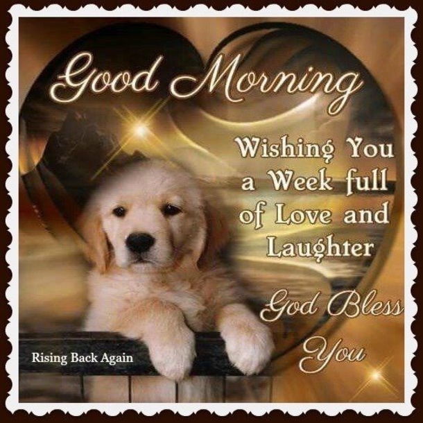 10 Super Beautiful Good Morning Quotes - picture 11