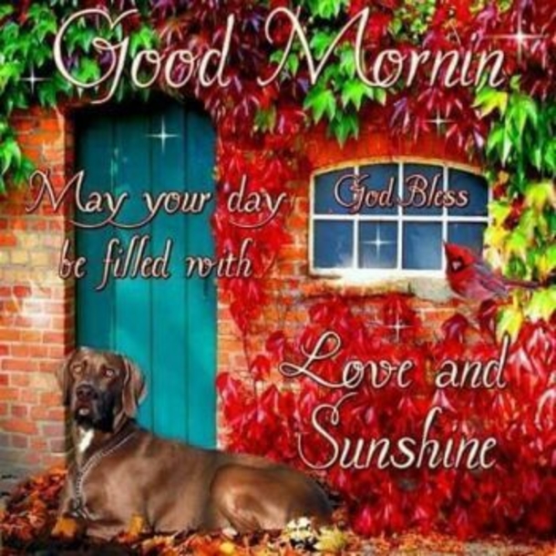 10 Super Beautiful Good Morning Quotes - picture 6