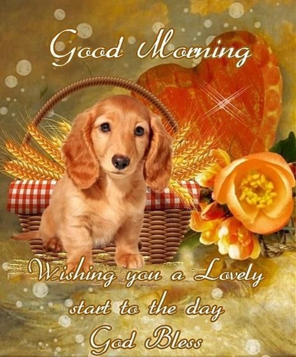 10 Super Beautiful Good Morning Quotes - picture 7