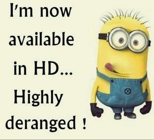 10 Super Crazy Funny Minion Quotes Of The Day - picture 2