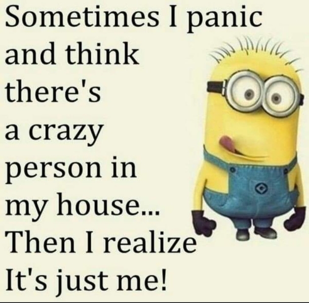 10 Super Crazy Funny Minion Quotes Of The Day - picture 3