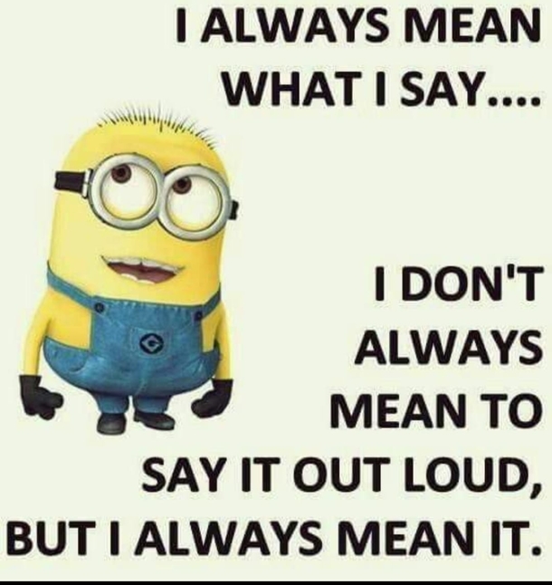 10 Super Crazy Funny Minion Quotes Of The Day - picture 4