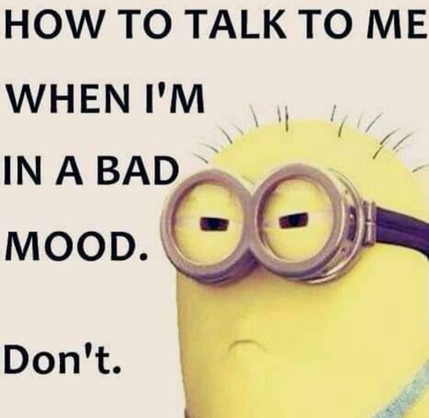 10 Super Crazy Funny Minion Quotes Of The Day - picture 5