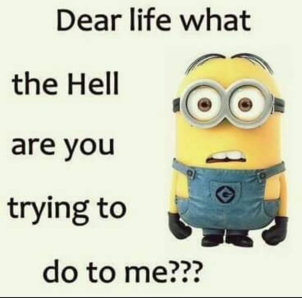 10 Super Crazy Funny Minion Quotes Of The Day - picture 6