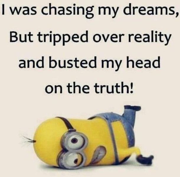 10 Super Crazy Funny Minion Quotes Of The Day - picture 7