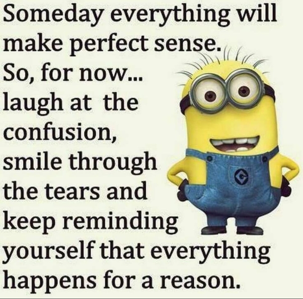 10 Super Crazy Funny Minion Quotes Of The Day - picture 9