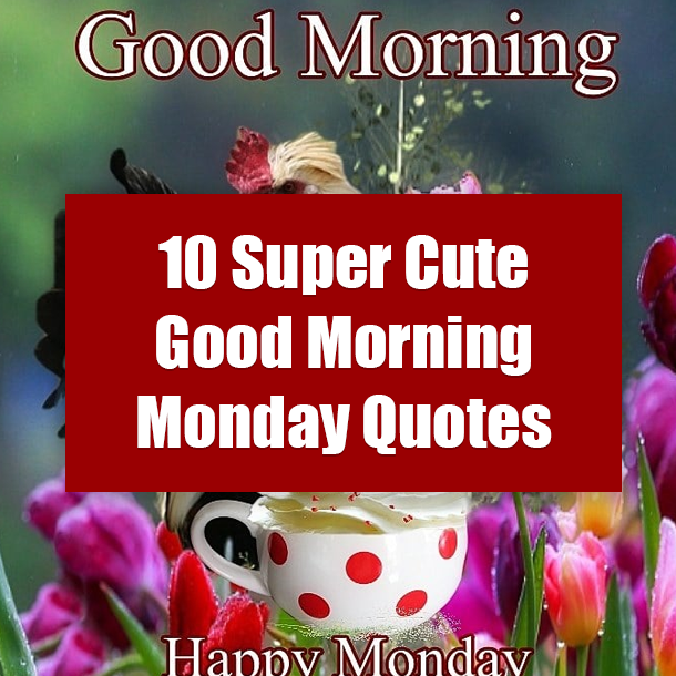 10 Super Cute Good Morning Monday Quotes