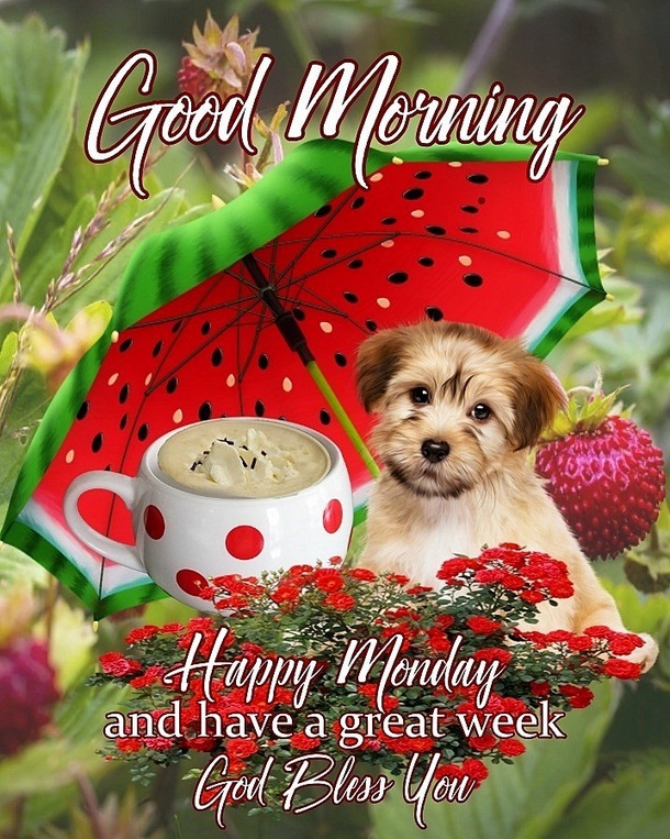 10 Super Cute Good Morning Monday Quotes - picture 11