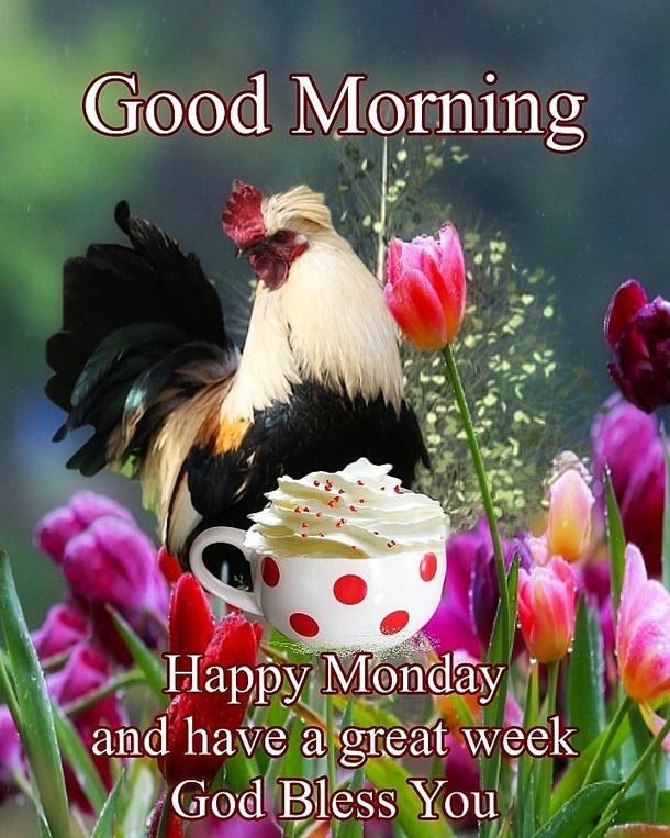 10 Super Cute Good Morning Monday Quotes - picture 2