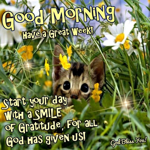 10 Super Cute Good Morning Monday Quotes - picture 3