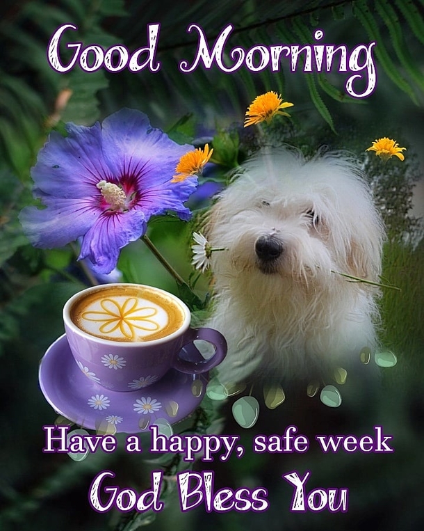 10 Super Cute Good Morning Monday Quotes - picture 4