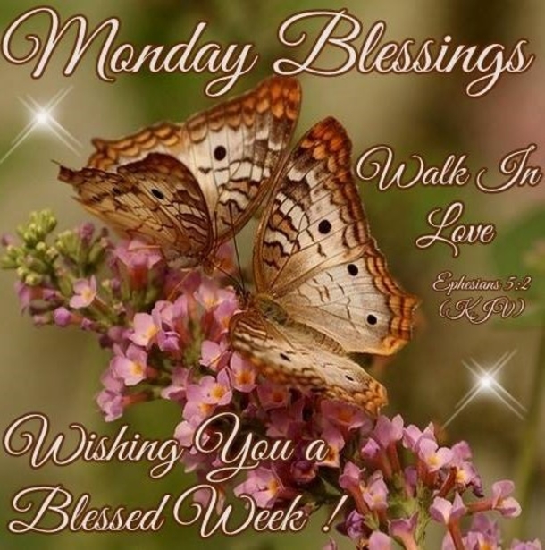 10 Super Cute Good Morning Monday Quotes - picture 7