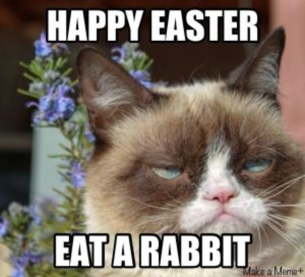 10 Super Funny Happy Easter Memes To Share - picture 8