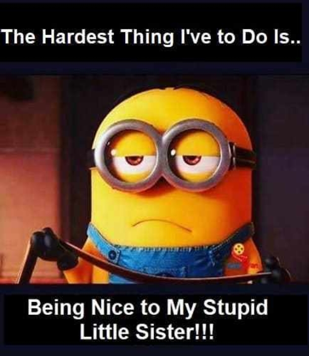 10+ Super Funny Memes Only A Brother And Sister Could Love - picture 10