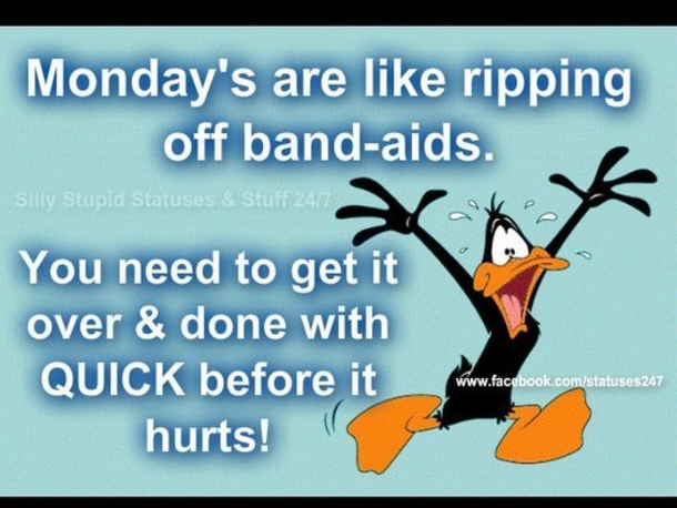 10 Super Funny Monday Quotes To Help You Get Through The Day - picture 11