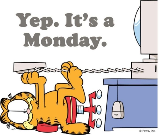 10 Super Funny Monday Quotes To Help You Get Through The Day - picture 9