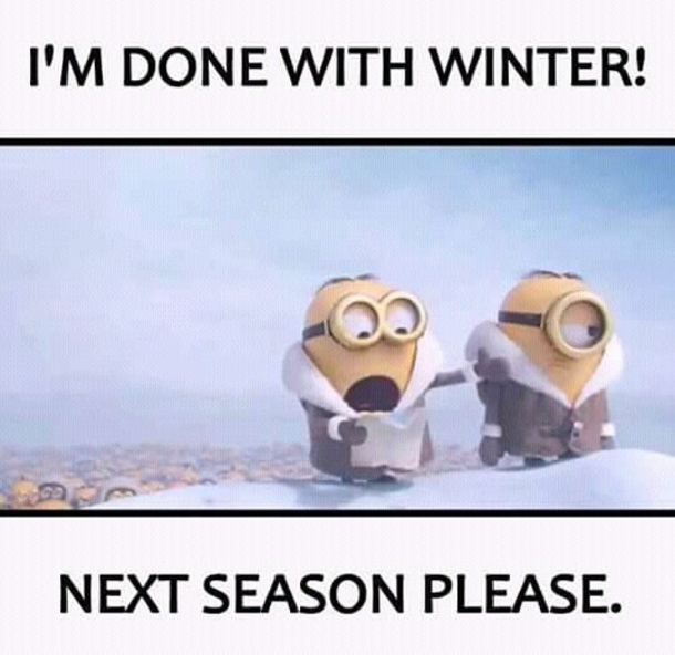 10 Super Funny Winter Minion Quotes - picture 10