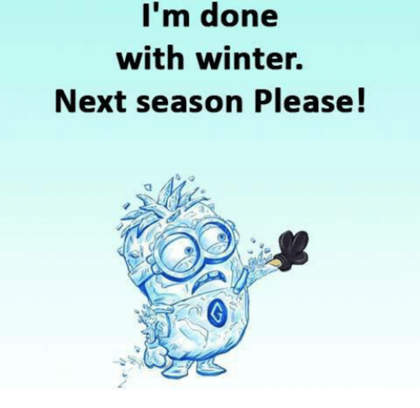 10 Super Funny Winter Minion Quotes - picture 11