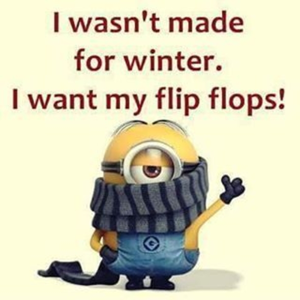 10 Super Funny Winter Minion Quotes - picture 2